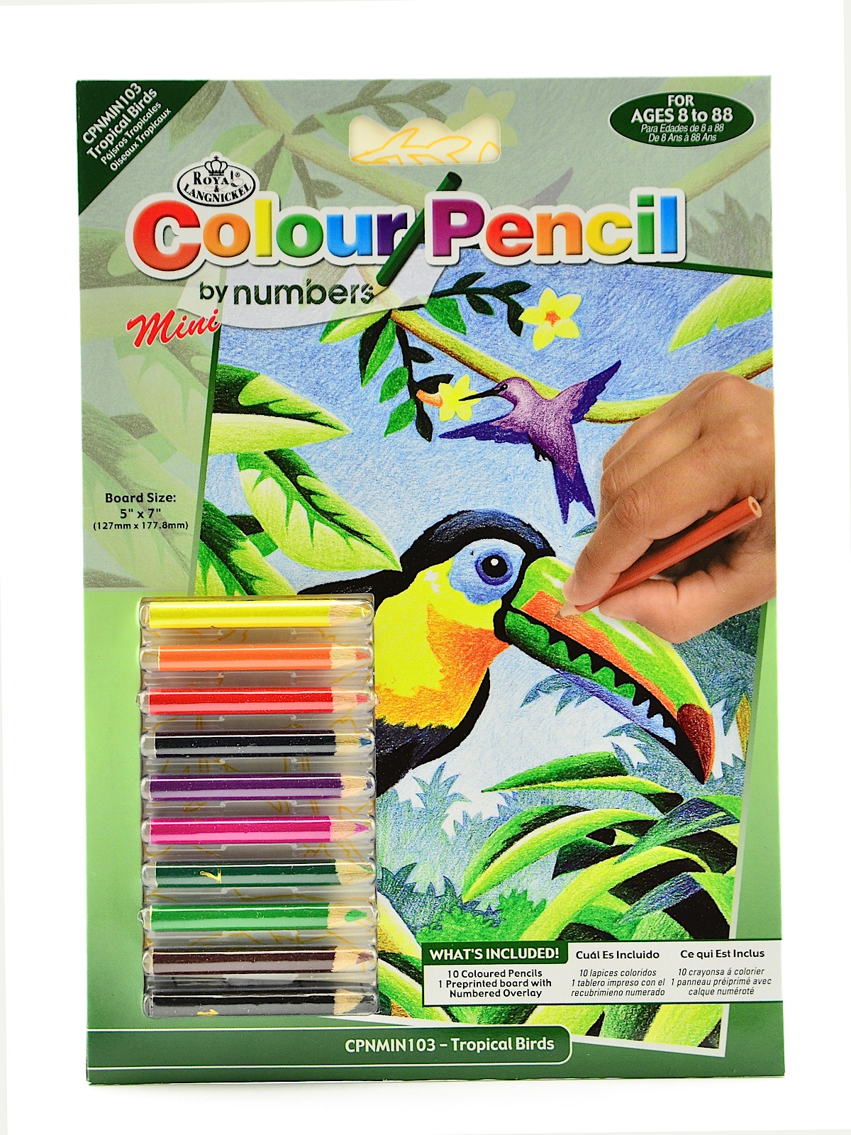 Pencil By Number Flash Sales, 52% OFF | www.vetyvet.com