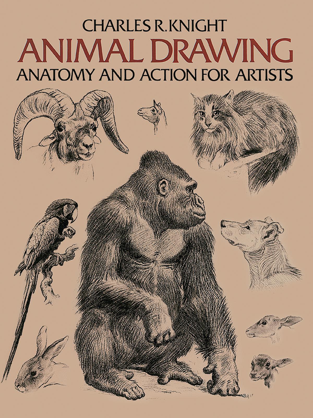 Dover Animal Drawing Anatomy And Action For Artists