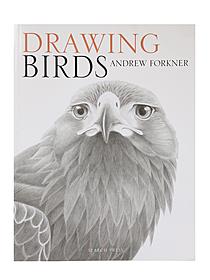 Search Press Drawing Birds